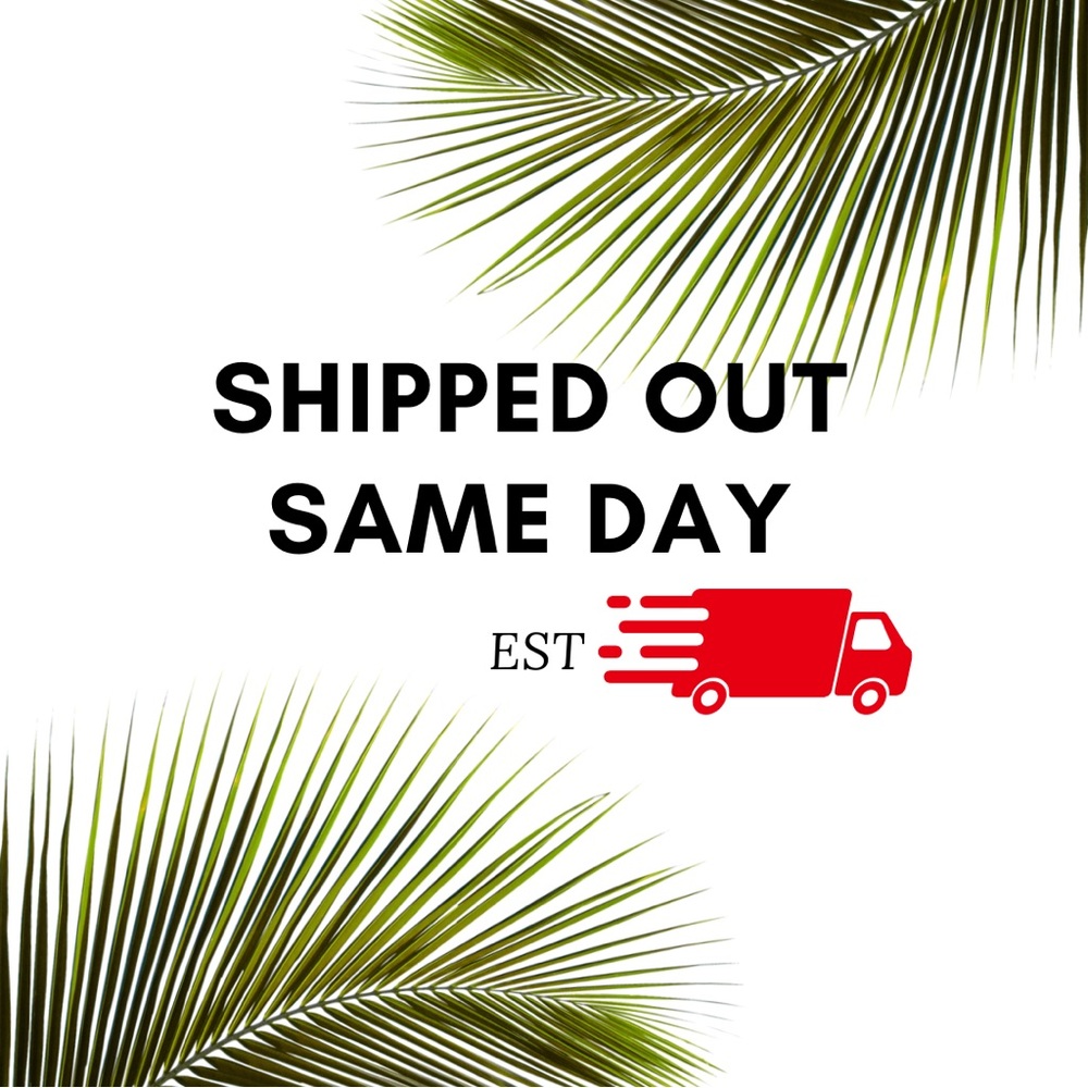 Same Day Shipping Service
